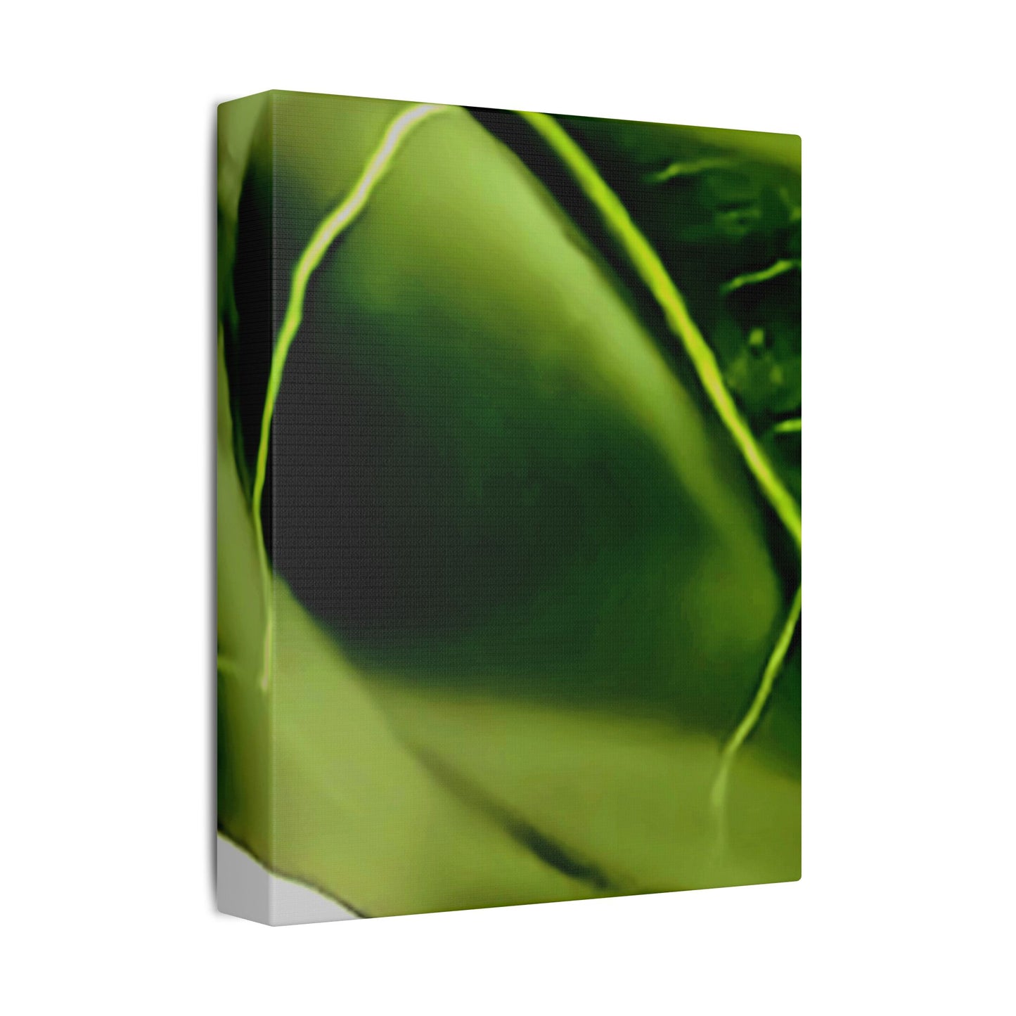 Classic Stretched Canvas - Leaf