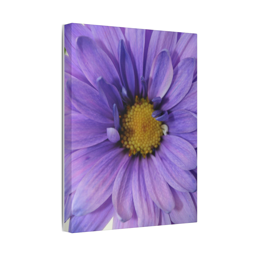 Classic Stretched Canvas