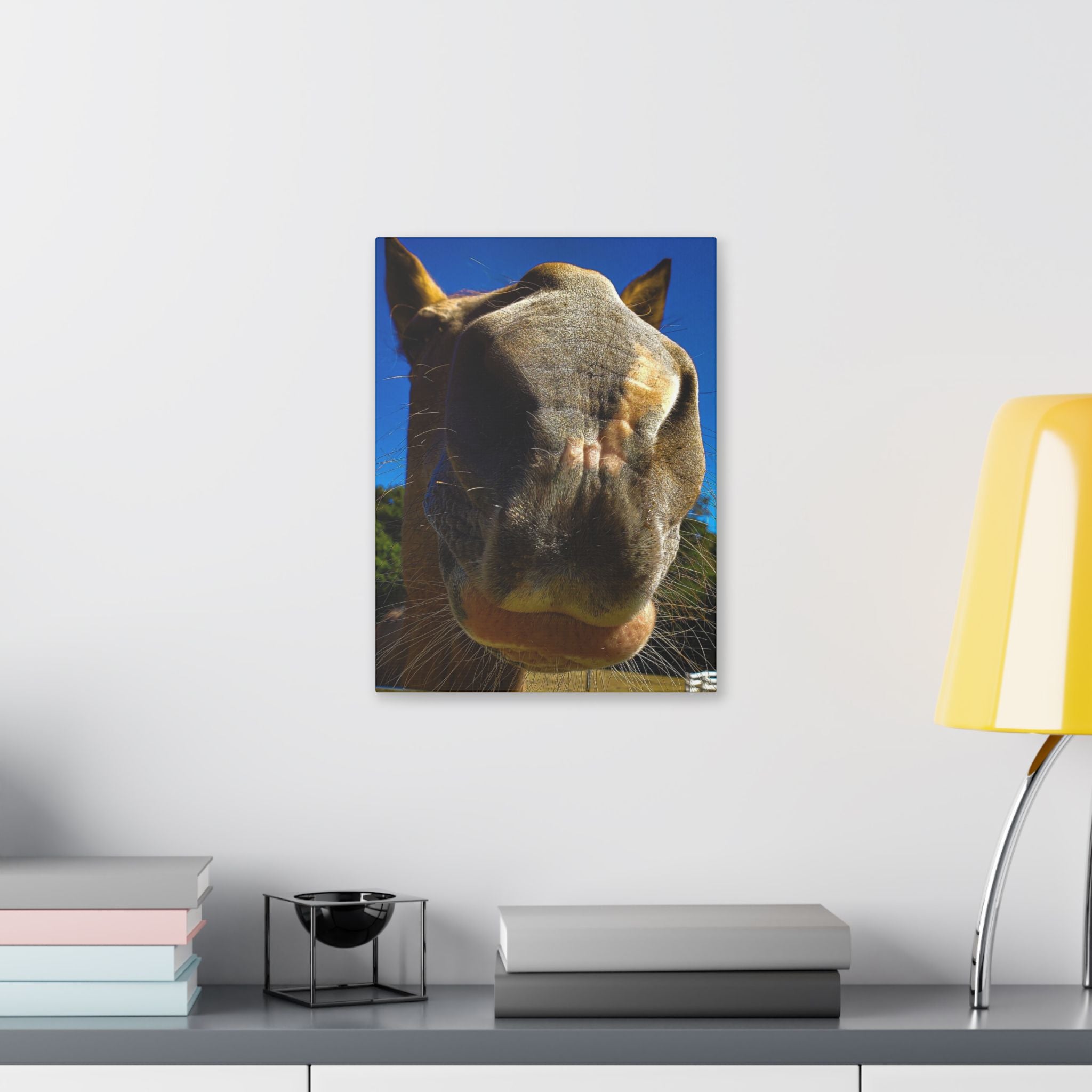 Classic Stretched Canvas - Its A Horse Of Course