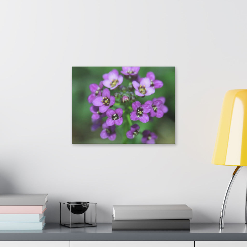 Classic Stretched Canvas