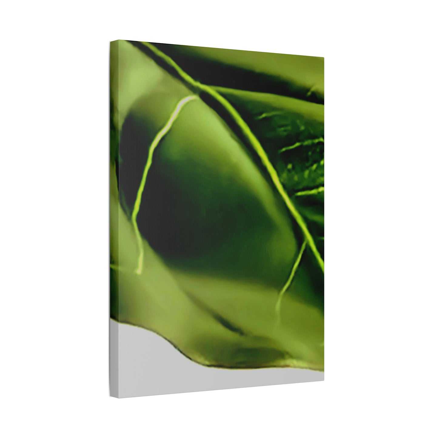 Classic Stretched Canvas - Leaf