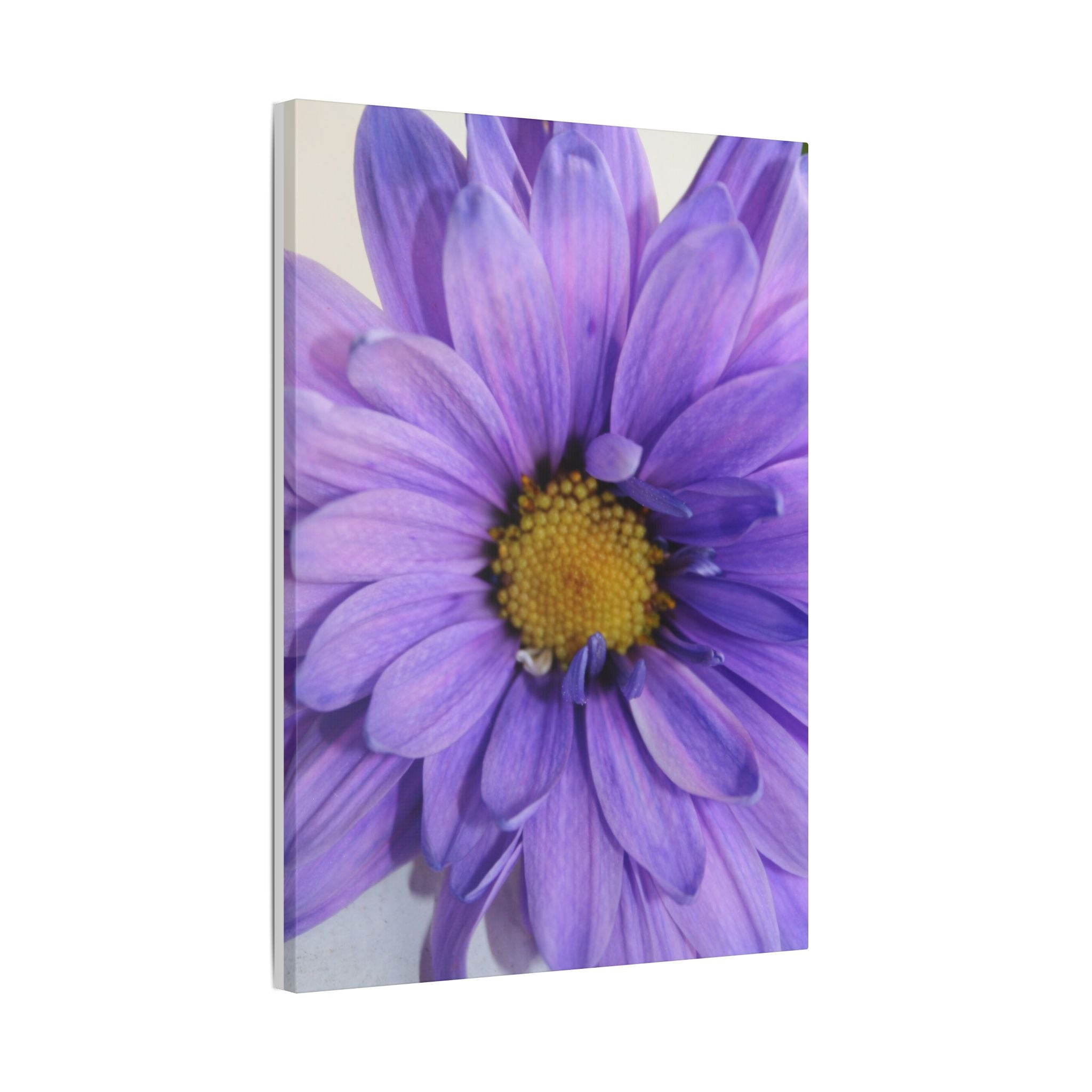 Classic Stretched Canvas