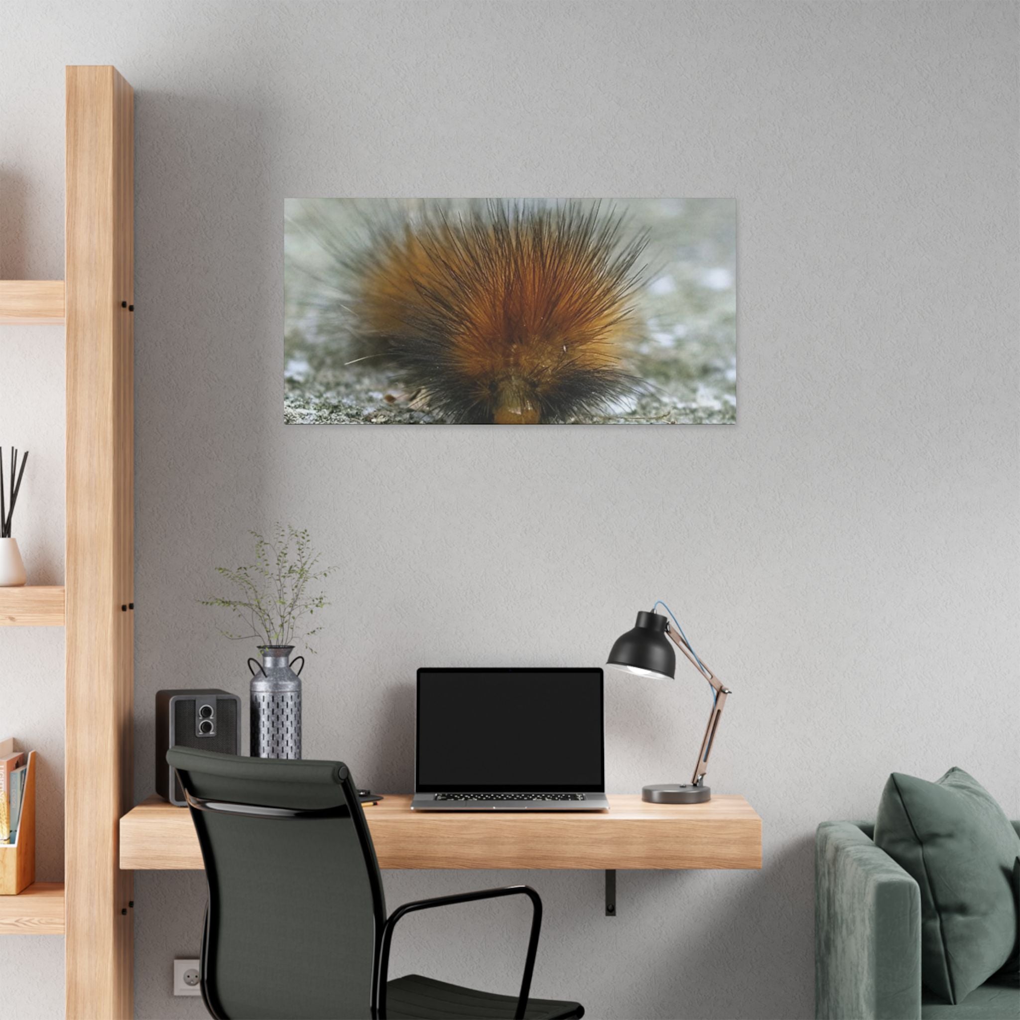 Classic Stretched Canvas - Platypillar