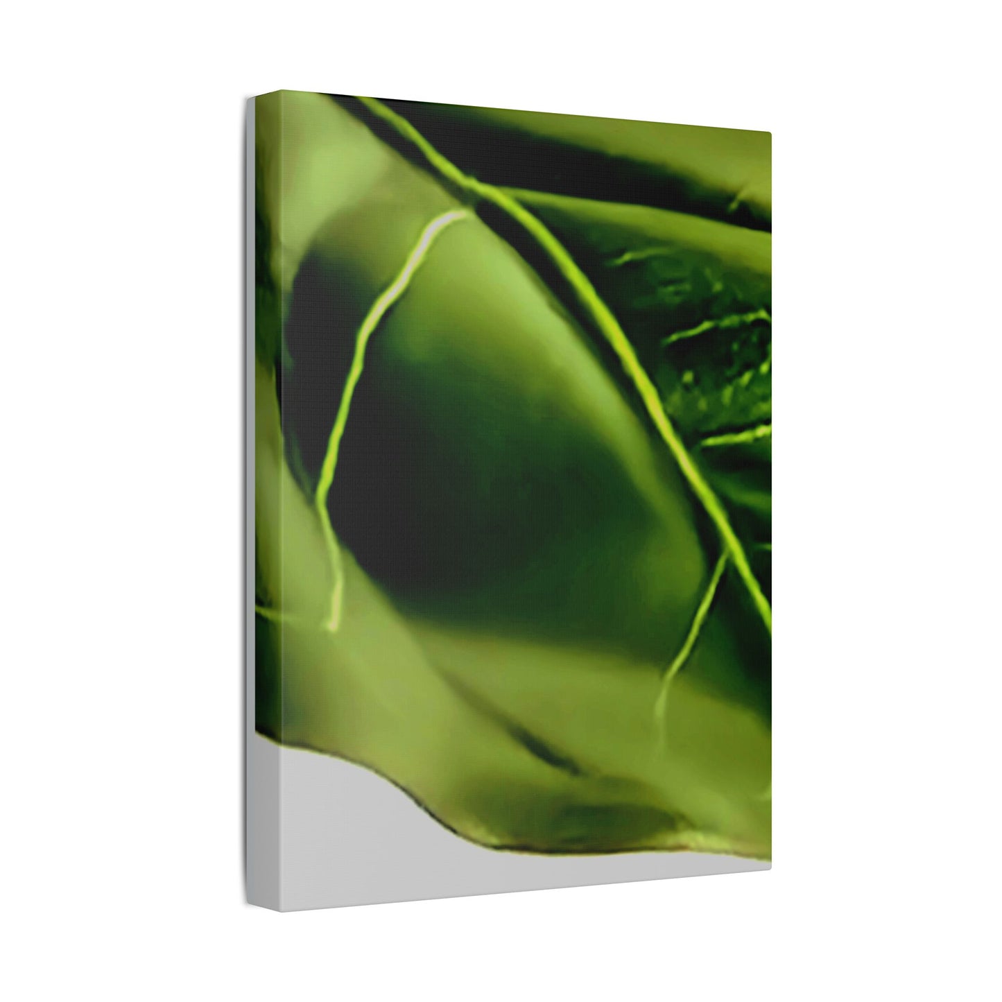 Classic Stretched Canvas - Leaf