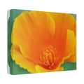 Classic Stretched Canvas