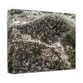 Classic Stretched Canvas - Moss