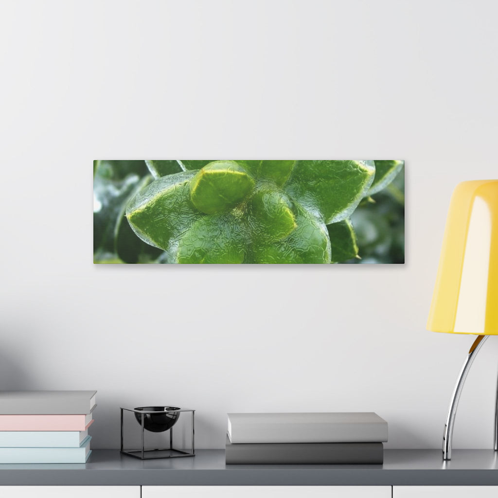 Classic Stretched Canvas