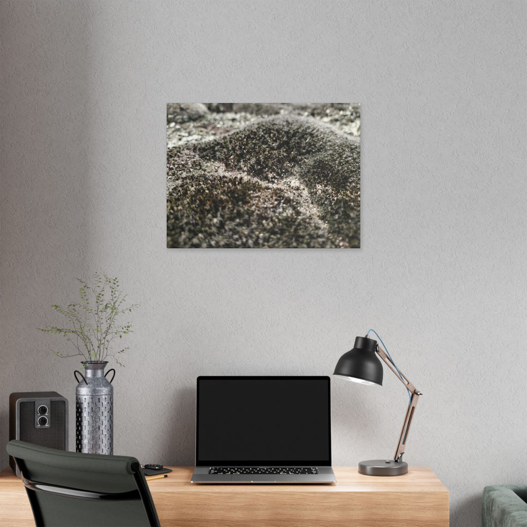 Classic Stretched Canvas - Moss