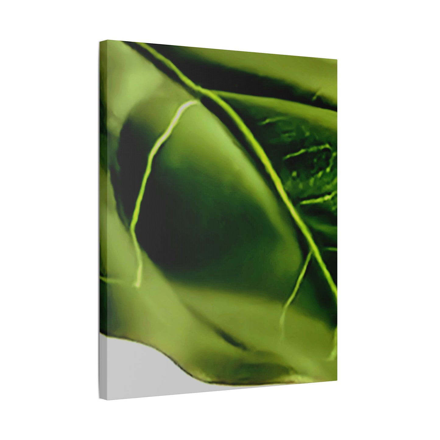 Classic Stretched Canvas - Leaf