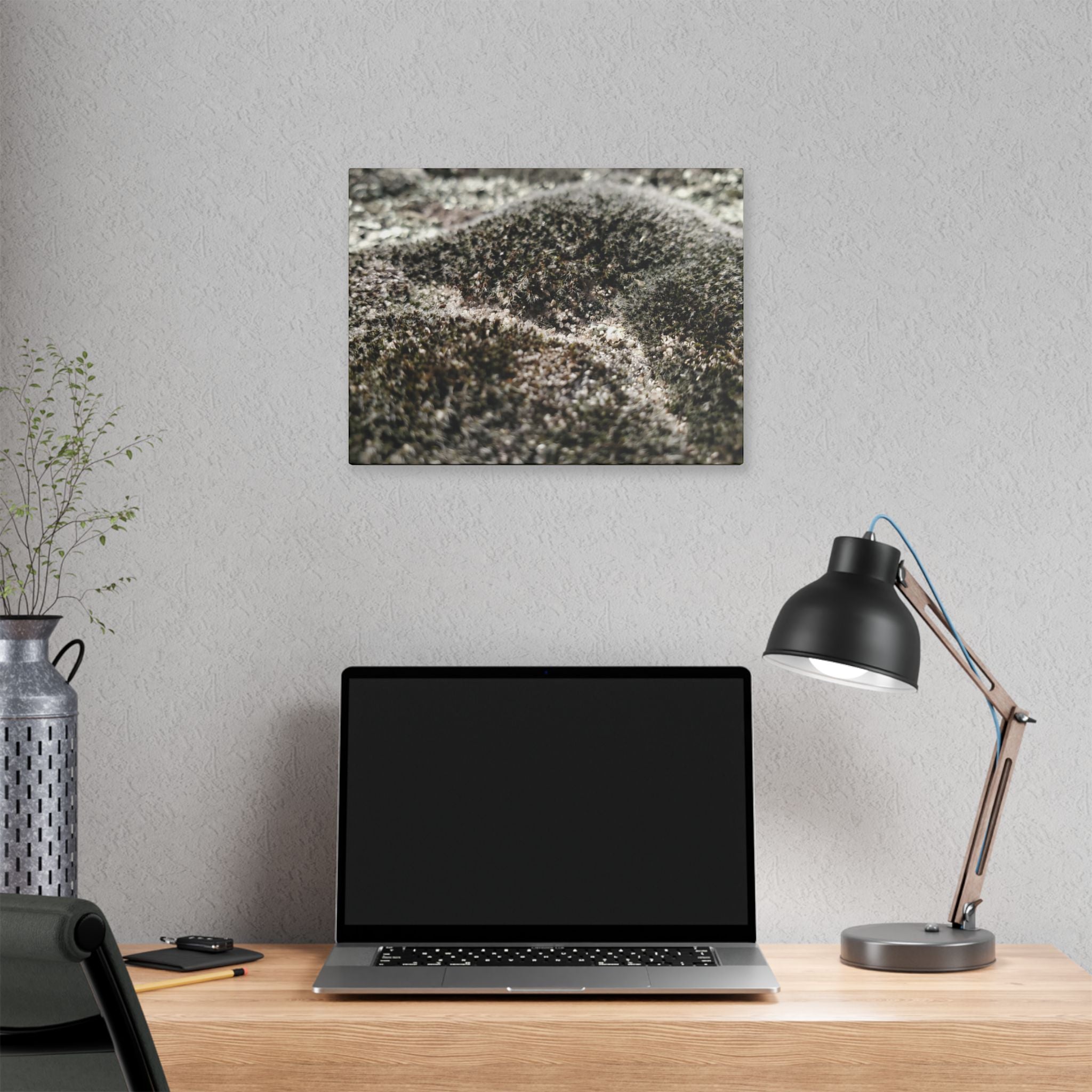Classic Stretched Canvas - Moss