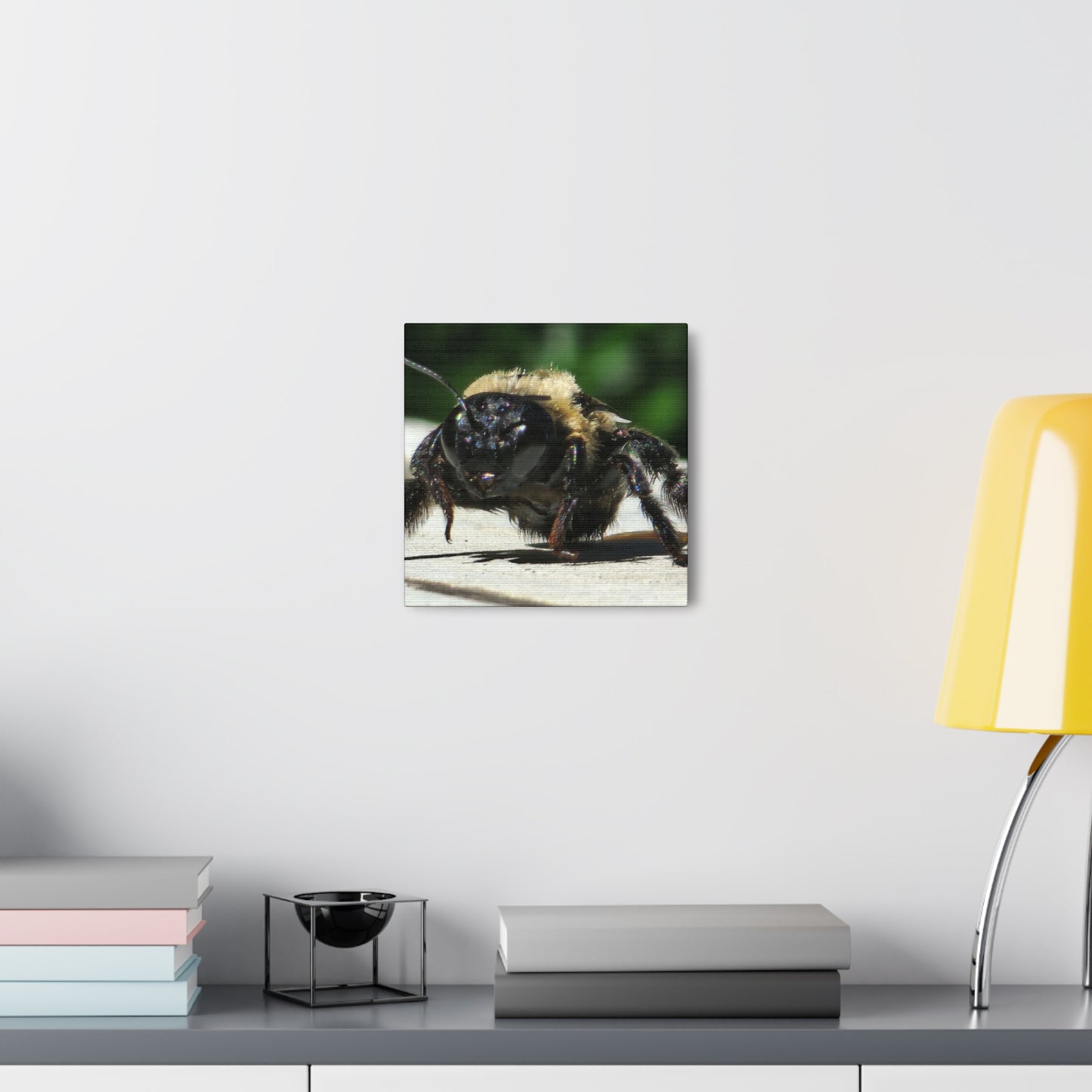 Canvas Gallery Wraps - Bee