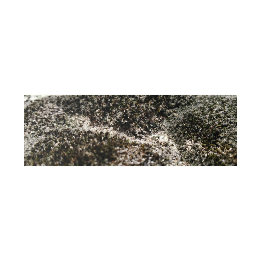 Classic Stretched Canvas - Moss