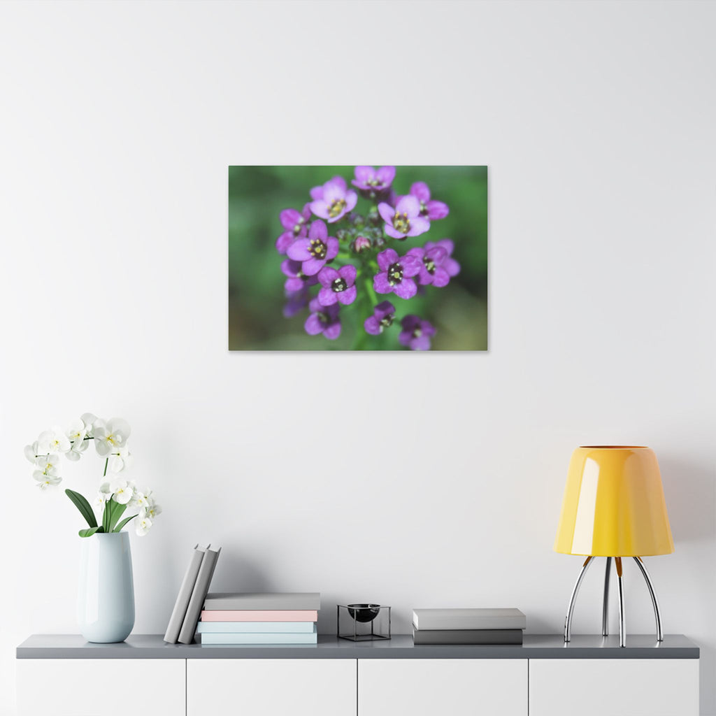 Classic Stretched Canvas