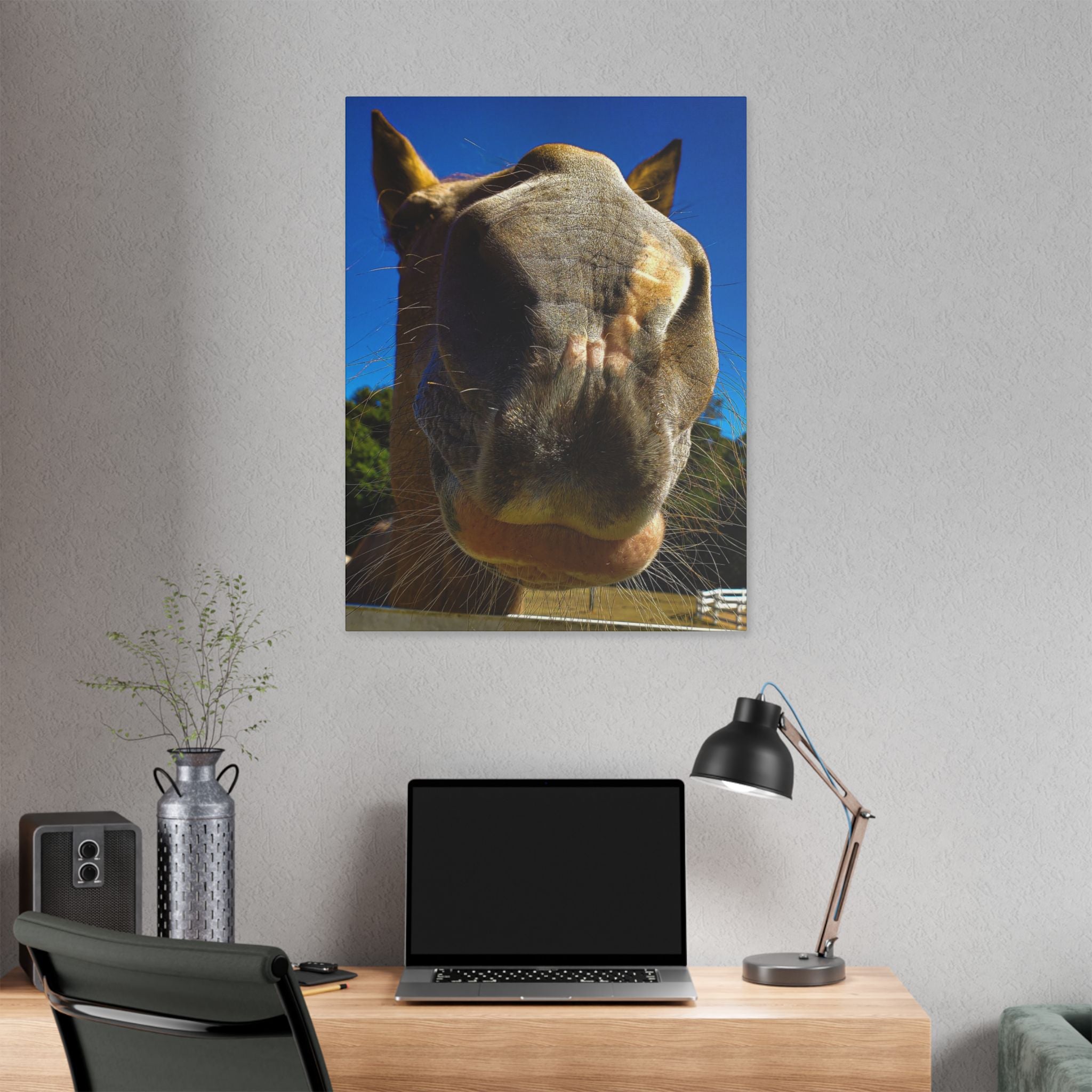 Classic Stretched Canvas - Its A Horse Of Course