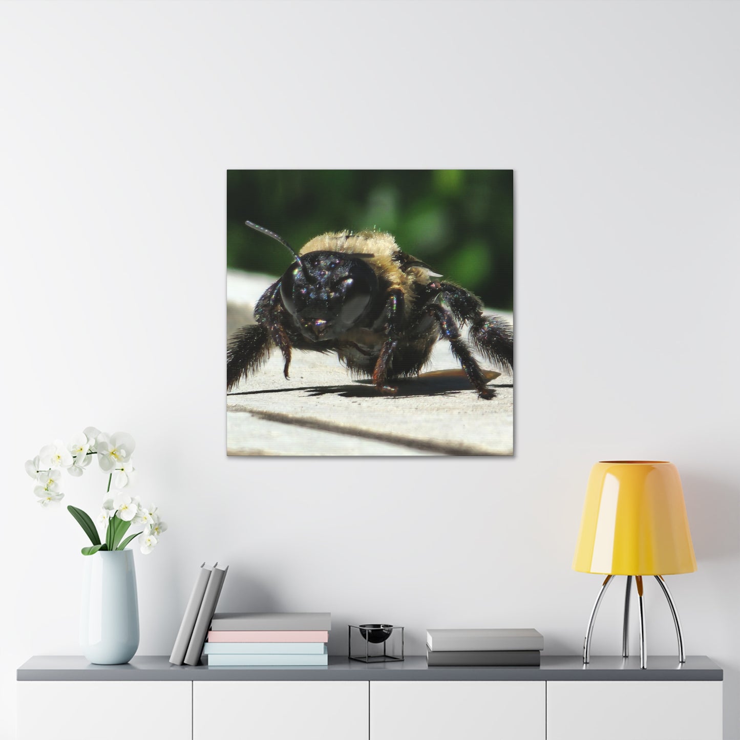 Canvas Gallery Wraps - Bee