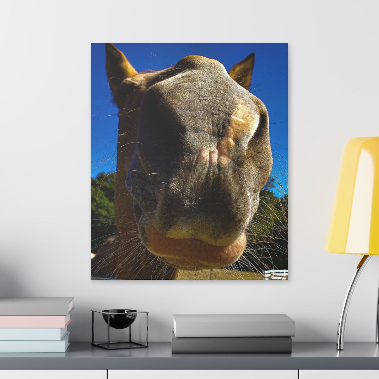 Classic Stretched Canvas - Its A Horse Of Course