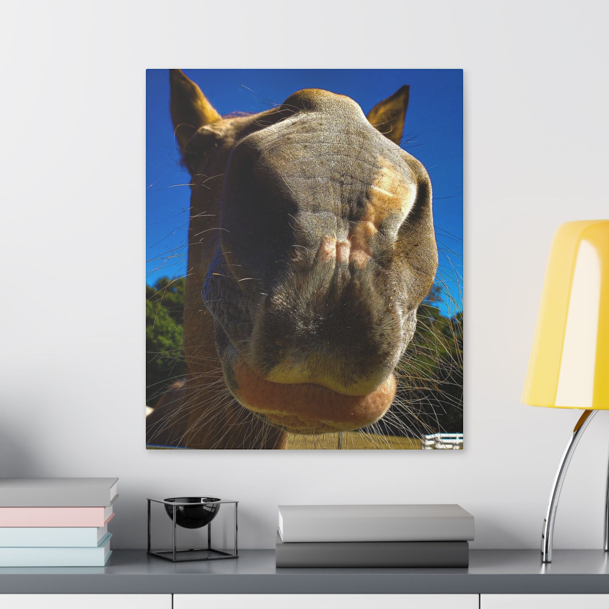 Classic Stretched Canvas - Its A Horse Of Course
