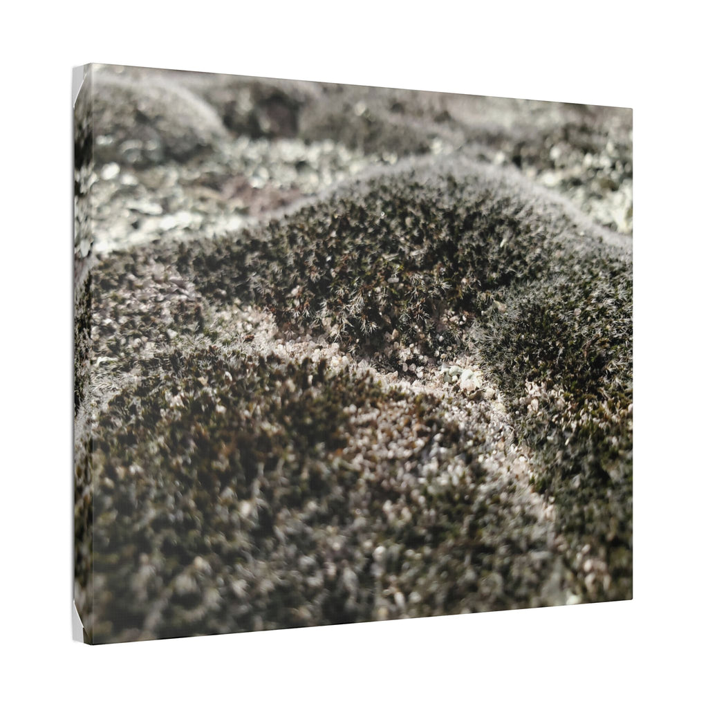 Classic Stretched Canvas - Moss