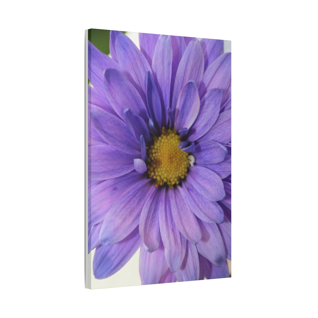Classic Stretched Canvas