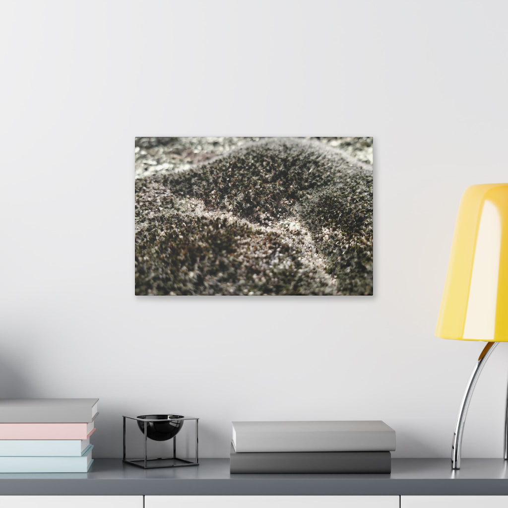 Classic Stretched Canvas - Moss