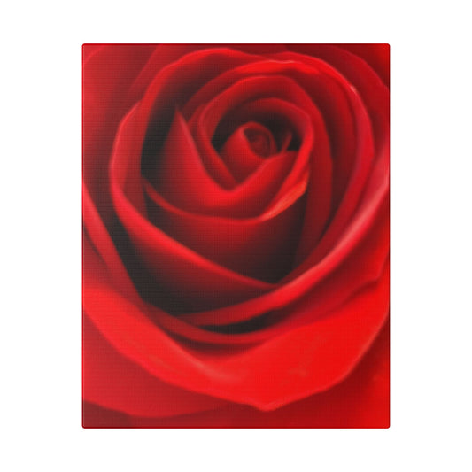 Classic Stretched Canvas - Rose