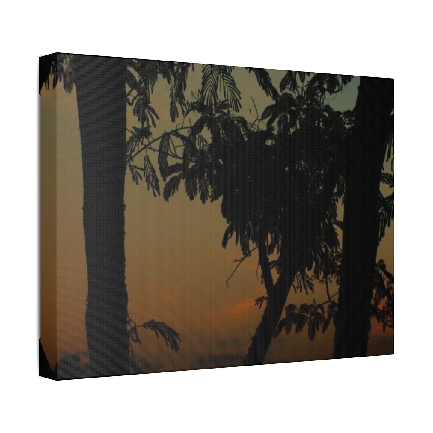 Classic Stretched Canvas